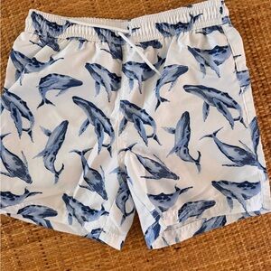 Janie & Jack Swim Trunks